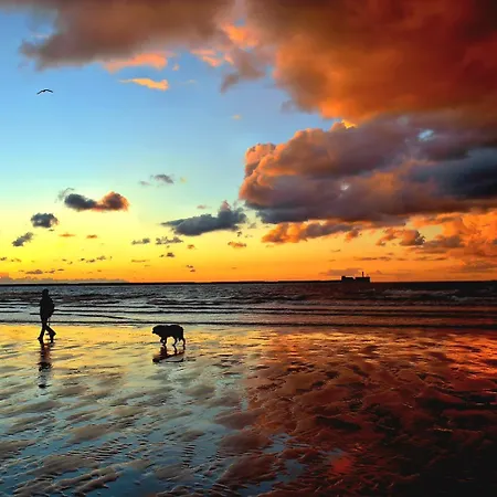 Daire Cap Sur Boulogne-sur-Mer