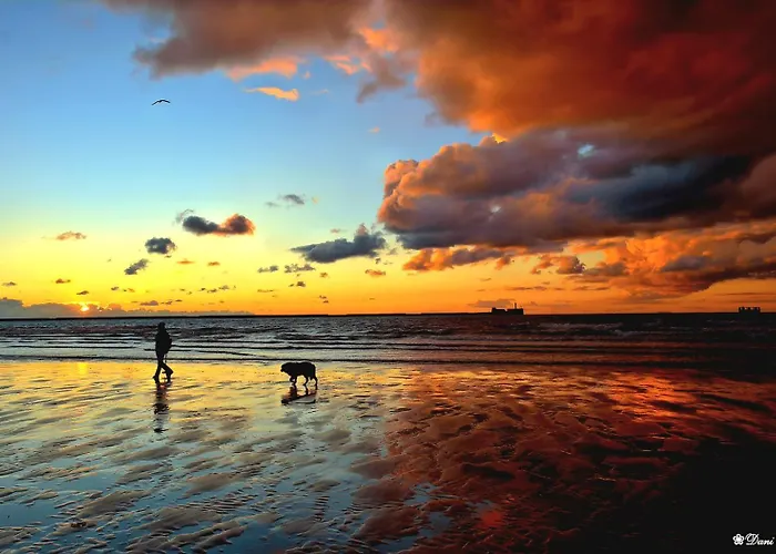 Apartment Cap Sur Boulogne-sur-Mer